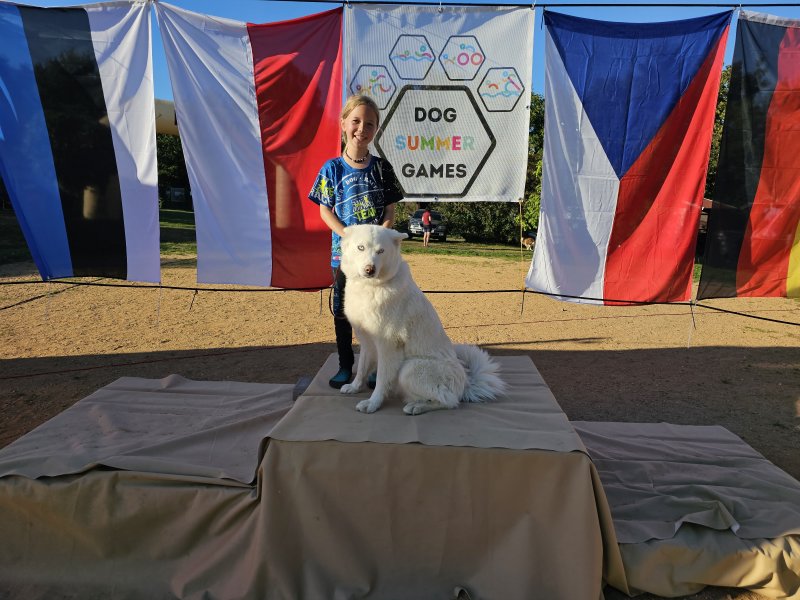 Dog biatlon