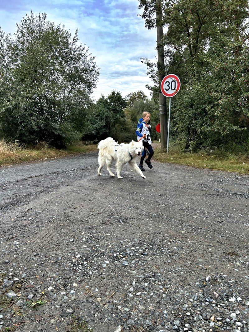 Dog biatlon Zdravotní pojišťovny 211