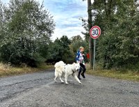 Dog biatlon Zdravotní pojišťovny 211